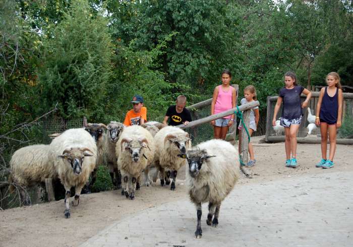 letni-farmarska-skola-ii