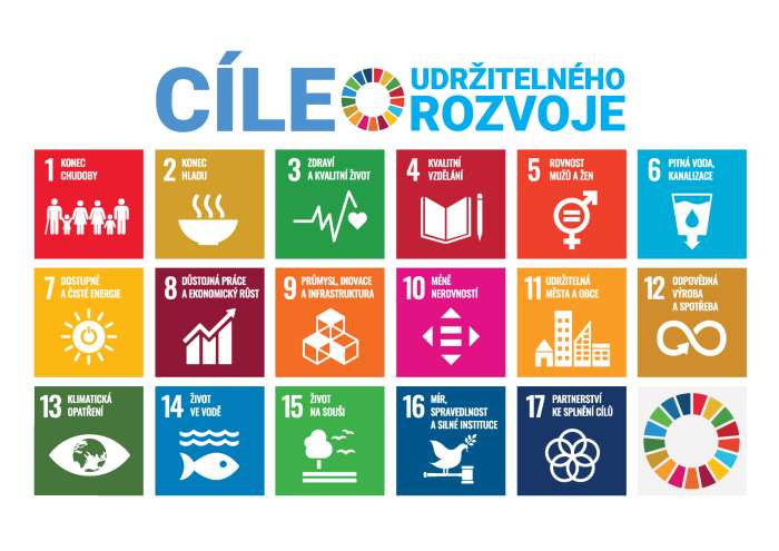 sdgs-jako-kompas-pro-rozvoj-vasi-organizace-workshop-krajska-konference-evvo