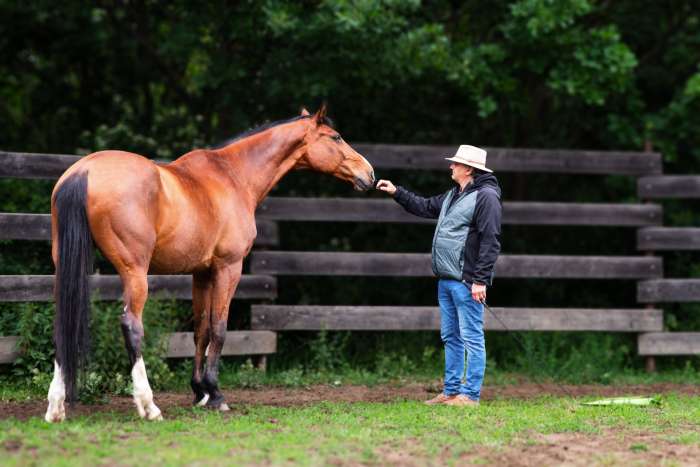 vaclav-boranek-horsemanship-jezdectvi-i-prvni-cast-skola-pomucek-pri-praci-ze-zeme-i-pod-sedlem