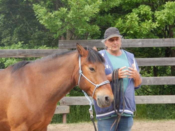 vaclav-boranek-horsemanship-i-teorie-jizdy-2-dil