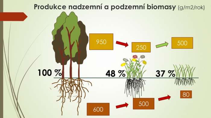 I půda potřebuje krmit