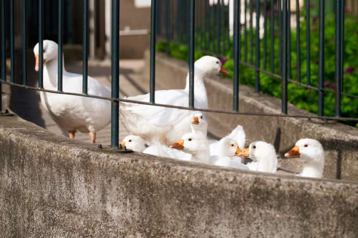 Změna otevírací doby Infocentra