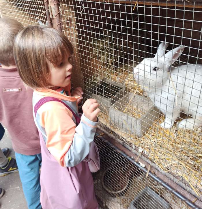 zviratkovy-prazdninovy-provoz-v-seminku