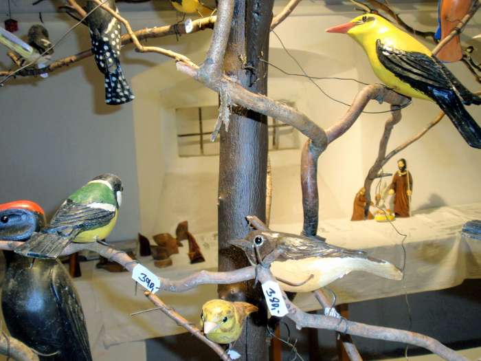 Výstava "Stromy a ptačí návštěvníci" 2019