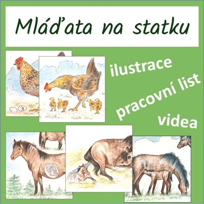 Materiály pro učitele na Ucitelnice.cz