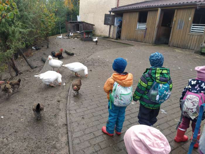 den-otevrenych-dveri-v-ms-seminko