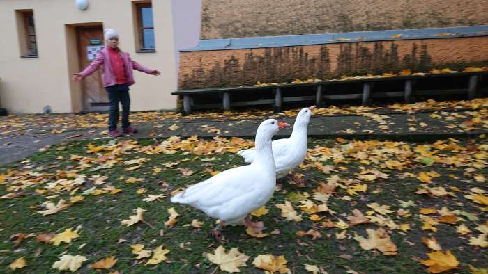 podzimni-farmareni