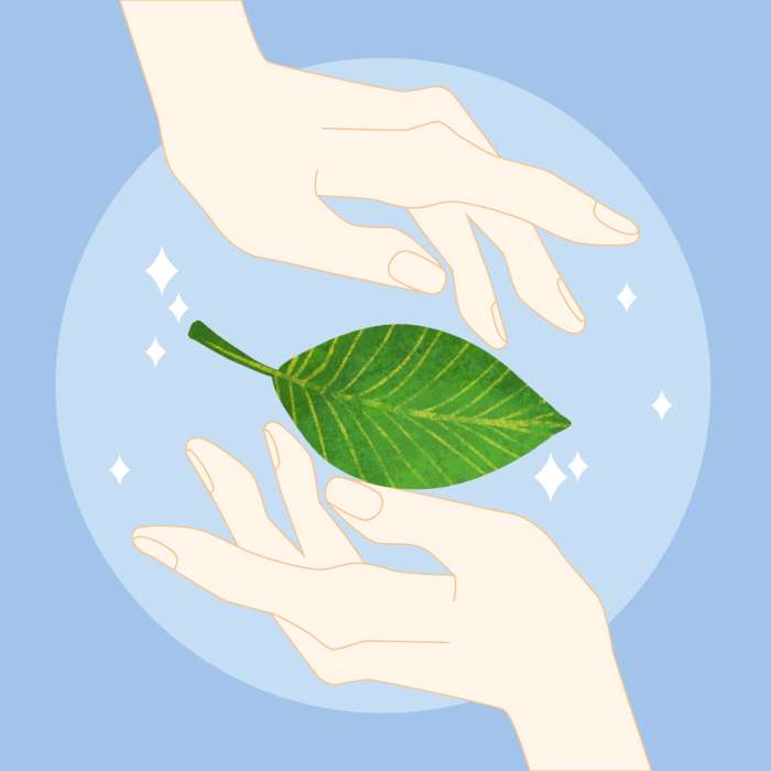 celodenni-dvojseminar-urceny-pro-pedagogy-ms