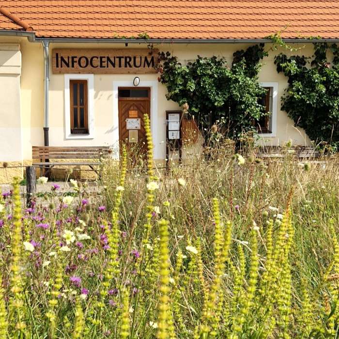 Hledáme kolegyni nebo kolegu do infocentra Toulcova dvora