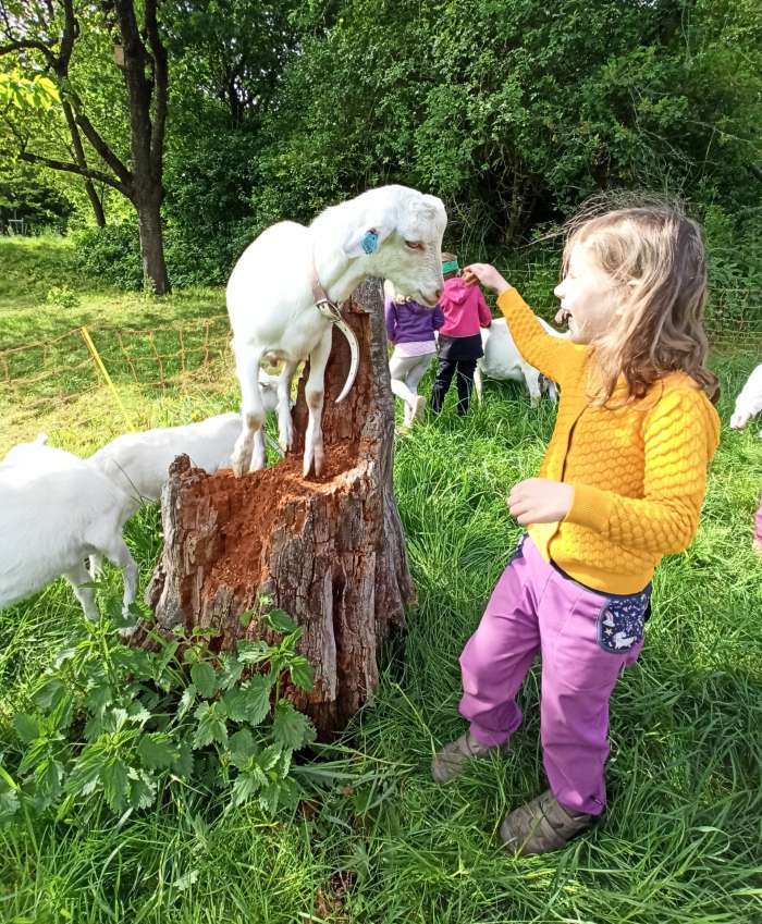 den-otevrenych-dveri-v-ms-seminko