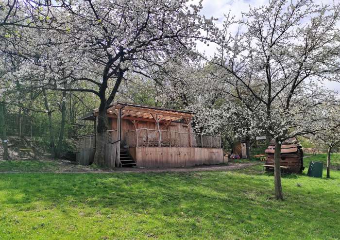 den-otevreneho-lesnicku