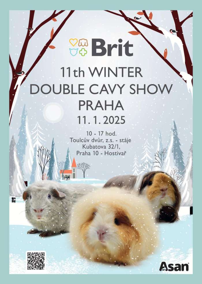 11th-winter-double-cavy-show-2025