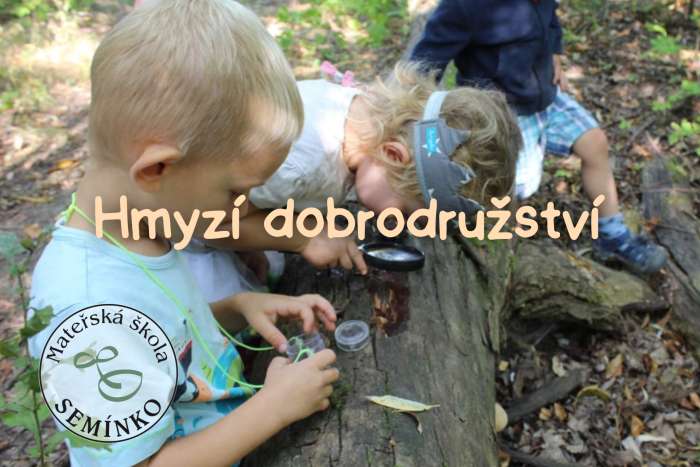 zivot-v-trave-aneb-hmyzi-dobrodruzstvi