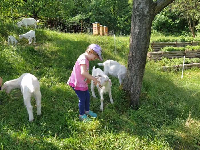 den-otevrenych-dveri-v-ms-seminko