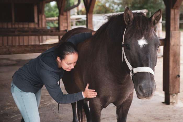 zaklady-fyzioterapie-ii-prvni-cast-s-mvdr-dominikou-svehlovou