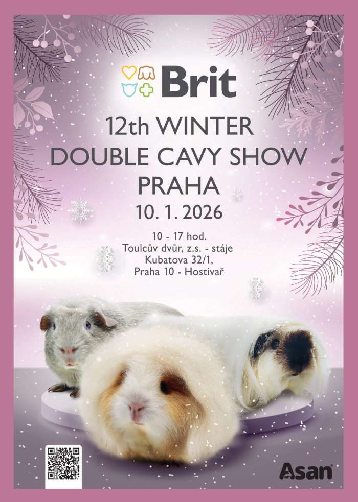12th-winter-double-cavy-show-2026