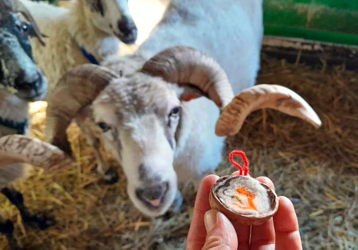 vanocni-pribeh-pastyru-a-ovecek