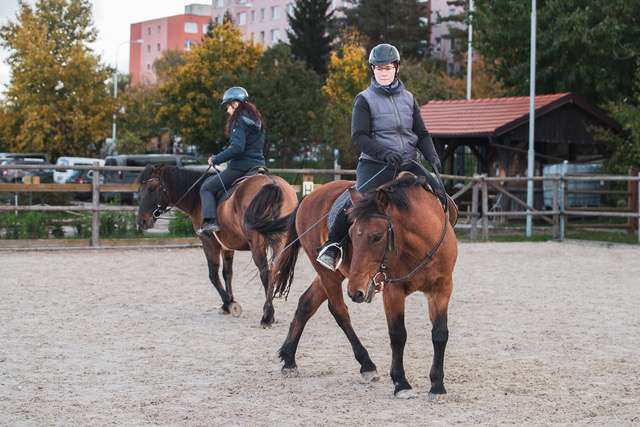 vaclav-boranek-horsemanship-iii-prakticke-ukazky-zakladnich-cviceni-pro-vychovu-jezdce-a-kone-pod-sedlem