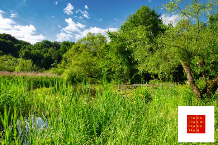 pojdte-s-nami-do-mokradu