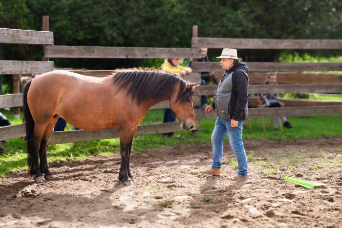 vaclav-boranek-horsemanship-ii-priprava-kone-ze-zeme-v-kruhove-ohrade-a-na-lane