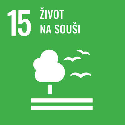 unesco icon